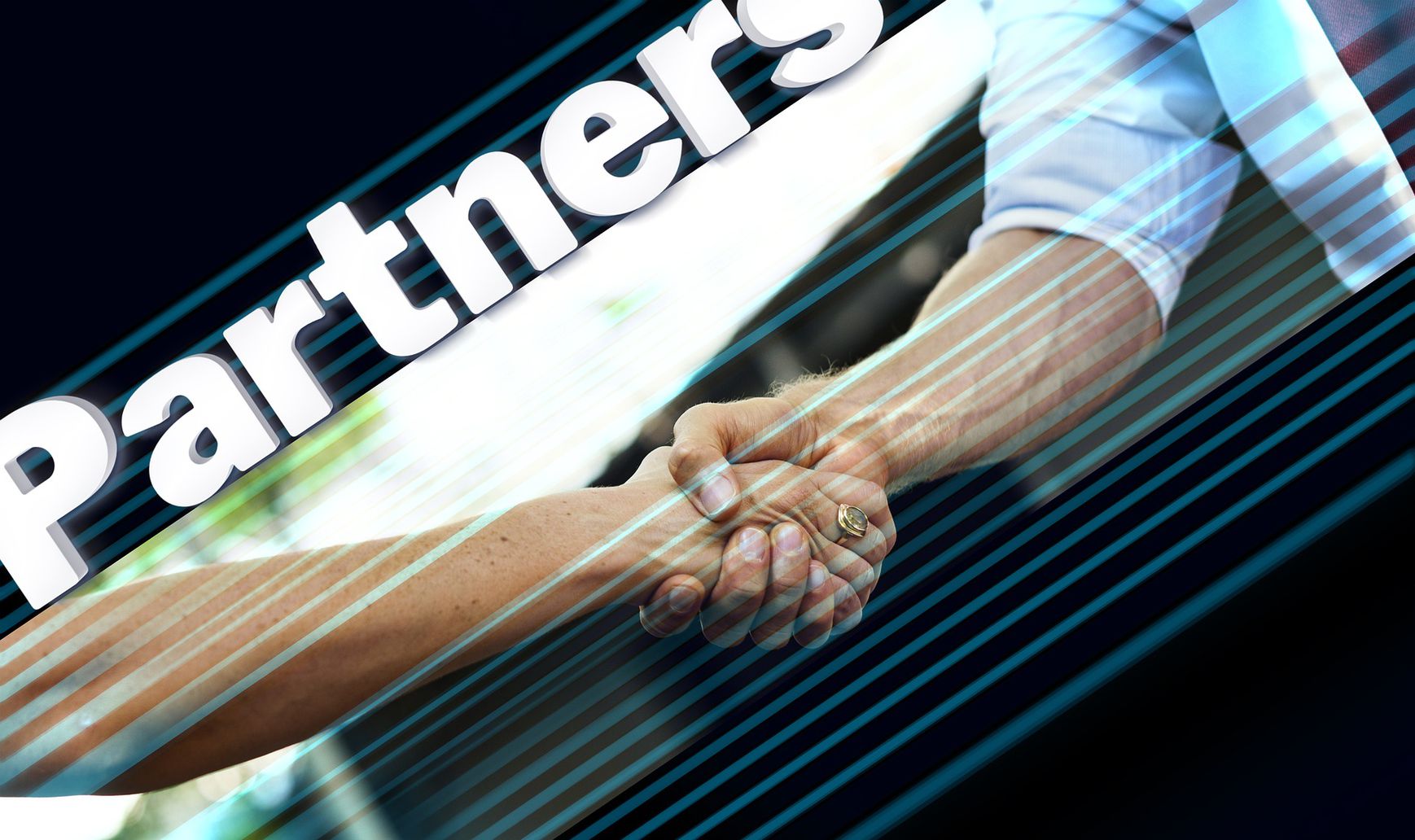Toronto Partnerre Partners - Business Finders Canada