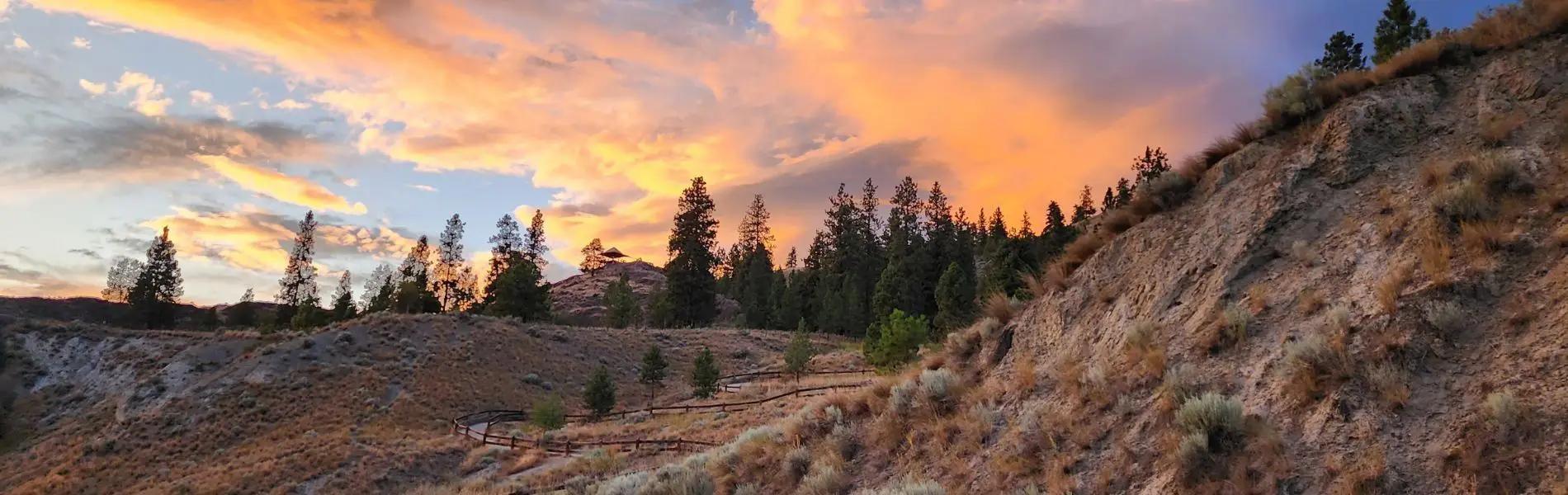 business finders in canada